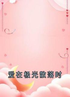爱在极光散落时无弹窗在线阅读