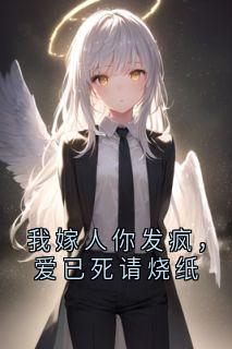我嫁人你发疯，爱已死请烧纸（全本）蓝鸢段承律段斯昱完整章节列表免费阅读