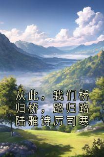 神秘人写的小说从此，我们桥归桥，路归路陆雅诗厉司寒在线阅读