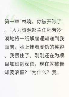 正版小说实习生反击：撕开公司潜规则内幕程芳赵建华林晓在线免费阅读-暗夜阅读网