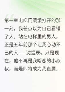 抖音爆款重逢的禁忌：小叔叔变成了我老板云帆沈煜辰浅语无广告阅读