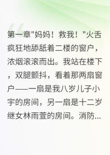 林雨萱小宇林军为了继女，我害死了亲儿子全文(林雨萱小宇林军)章节免费阅读-暗夜阅读网