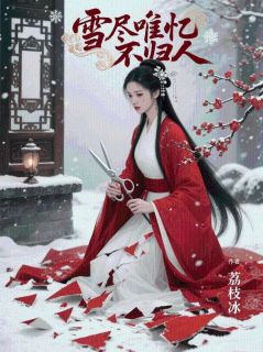 老书虫推荐雪尽唯忆不归人 在线阅读