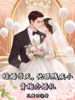 结婚当天,他跟残疾小青梅办婚礼(江彻宋妍希希)小说全章节目录阅读-暗夜阅读网