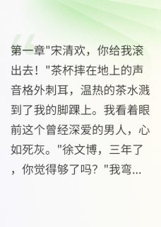 主角是徐文博陈浩清欢的小说叫什么离婚后我在小镇当了镇长免费全文阅读-暗夜阅读网