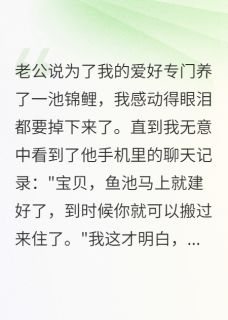 老公用我钱给小三整容后我选离婚林浩小鱼儿大结局小说全章节阅读-暗夜阅读网