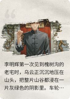 槐树沟老宅全集小说_李明辉婉清完结版阅读