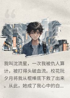 精彩小说流星赶月阮夕月秦若诗沈流星全章节在线阅读