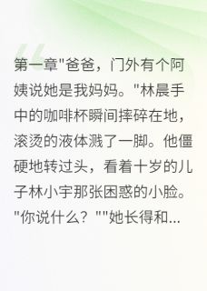 主角苏婉林晨林小宇的小说作者字字珠玑梦如烟