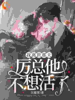 苏清予厉霆琛小说我离世那天，厉总他不想活了全文阅读