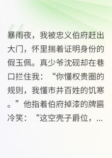弃子联盟：真假少爷米铺创金路（全本）萧祈沈砚赵老蔫完整章节列表免费阅读