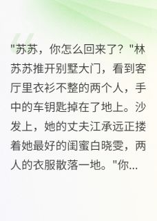 老公出轨三年我带走五亿离婚小说免费版阅读抖音热文-暗夜阅读网