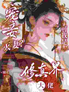 宠妾灭妻？可我是修真界大佬小说(完本)-沈月华陆远舟无错版阅读