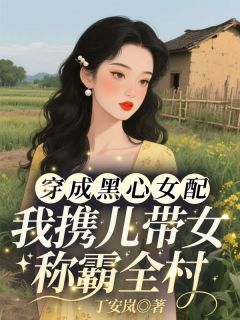 全章节小说穿成黑心女配，我携儿带女称霸全村丁安岚最新阅读