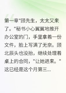 妻子拿离婚协议找我签字第99次顾北辰苏晚清陈浩全本小说（妻子拿离婚协议找我签字第99次）全章节小说目录阅读