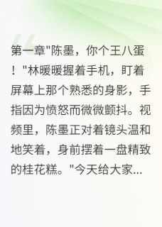 他偷走了我的甜免费阅读全文，主角林暖暖陈墨小说完整版最新章节