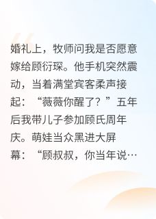 主角是苏晚顾衍琛林薇薇的小说-顾总，您的替身新娘带崽跑路了完整章节阅读
