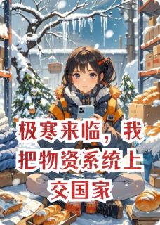 极寒来临，我把物资系统上交国家章节全目录 小李刘程张娴全文免费阅读-暗夜阅读网