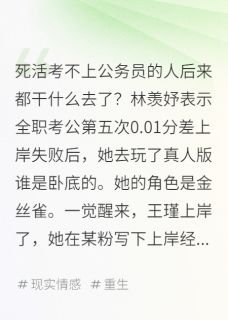 爆款热文岳书霖阿方王瑾在线阅读-考公失败后当了金丝雀全章节列表
