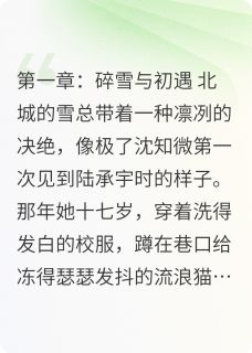 雾里无归人[抖音]小说-陆承宇沈知微无删减阅读