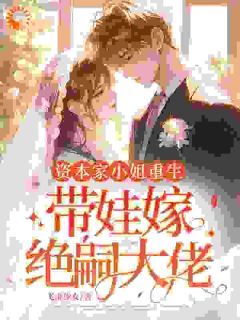 资本家小姐重生,带娃嫁绝嗣大佬(沈知鸢顾昭)全文章节在线阅读-暗夜阅读网