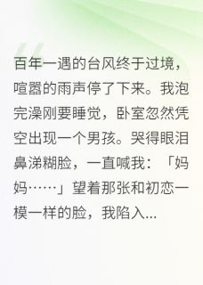台风过境后，我多了个孩子小说_台风过境后，我多了个孩子小说结局阅读-暗夜阅读网