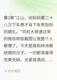 婚礼上妈妈要28万我妻子跑了(诗雅江山)全文章节在线阅读