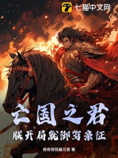 亡国之君？朕开局就御驾亲征小说免费版阅读抖音热文