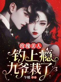 玫瑰美人钓上瘾，九爷栽了！小说的书名是什么