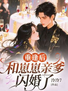 精选好书重逢后，和崽崽亲爹闪婚了无删减版全文在线