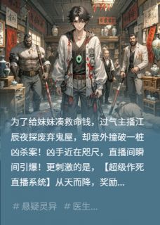 直播间里全是案发现场江辰苏晚晴全章节目录免费阅读-暗夜阅读网