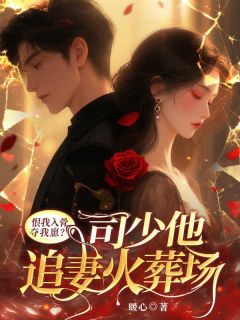 黎景致司洛明黎意小说结局