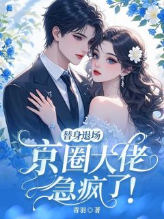 替身退场，京圈大佬急疯了！大结局阅读 墨文婷展宁小说在线章节