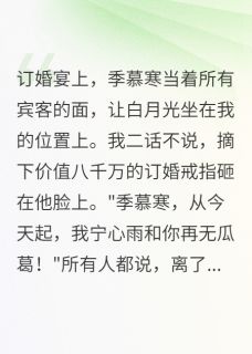 新上我带走八千万改嫁后渣男跪求复合小雨说书小说免费阅读