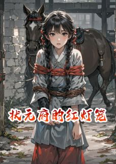 状元府的红灯笼上官灏江无离江楚行小说_状元府的红灯笼完结版阅读