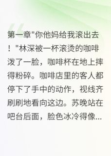 苏晚林深全集小说_那本会回应的日记完结版阅读