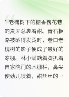槐花巷的甜知乎后续免费试读-暗夜阅读网
