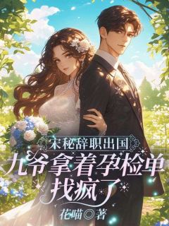 抖音热推小说宋秘辞职出国，九爷拿着孕检单找疯了全文在线阅读