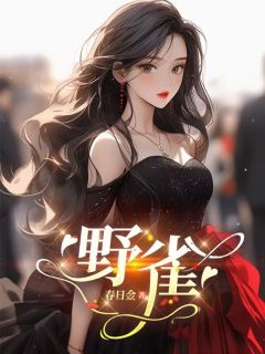 野雀免费阅读全文，主角桑晚许连城小说完整版最新章节