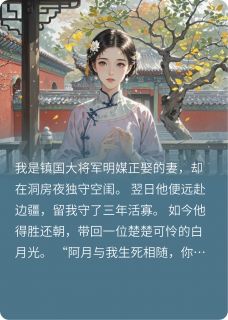 萧珩沈知意白月柔全本小说 凤钗染尘:将军的反逻辑结局全文免费在线阅读-暗夜阅读网