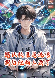 (抖音小说)林晚江澈小说全文阅读免费