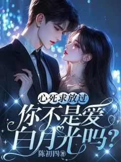 【抖音热推】宋锦傅盛衍梁灿灿全文在线阅读-他宁愿要白月光，也不保我孩子全章节目录