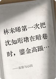 星坠与心囚精彩章节-星坠与心囚免费阅读全文-暗夜阅读网