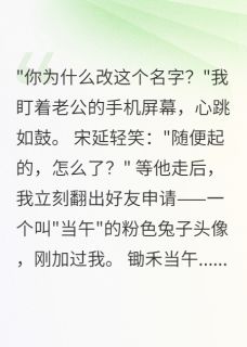 老公改名锄禾，我查出天价贪污案小说苏念宋延张雅婷最新章节阅读-暗夜阅读网