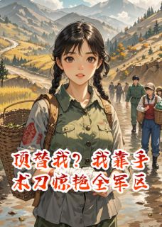 小说推荐顶替我?我靠手术刀惊艳全军区完结版全章节阅读-暗夜阅读网
