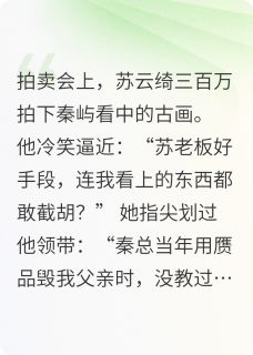 精彩小说秦屿苏云绮执笔为刃：秦先生，刀锋见情全文目录畅读