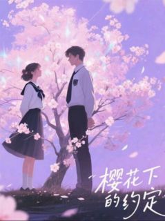 无广告小说樱花下的约定：沉晚-苏晚陆沉在线阅读