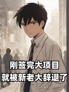 刚签完大项目，就被新老大辞退了小说的书名是什么-暗夜阅读网