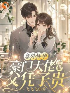 意外怀孕，豪门大佬他想父凭子贵免费小说作者飞飞飞尔全文阅读