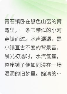 主人公婉清墨轩小说轻纱梦影在线全文阅读-暗夜阅读网